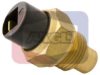ANGLI 1551 Sensor, coolant temperature